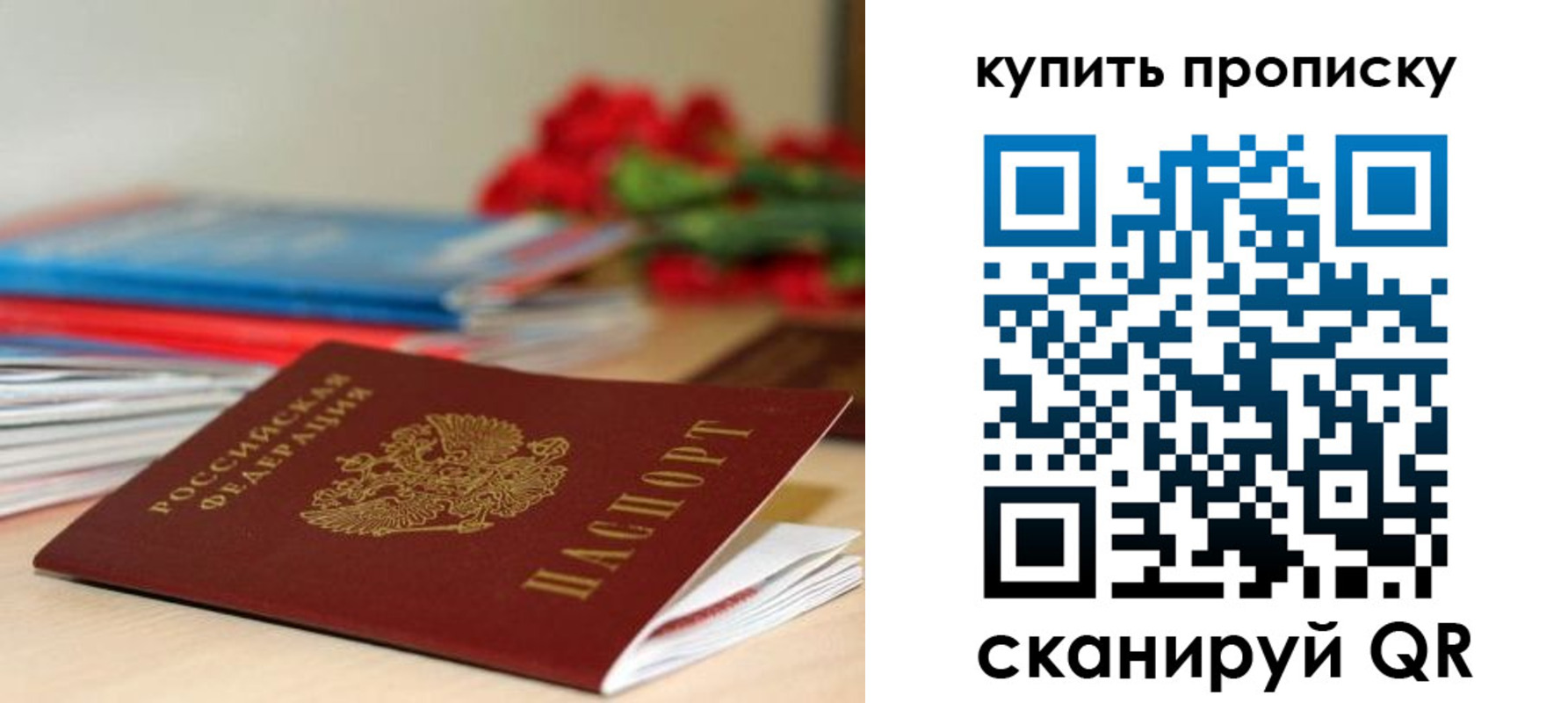 прописка в Кирсанове
